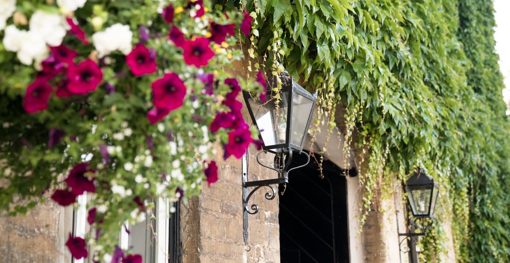 4 ways to prepare your agency for the new material information rules 