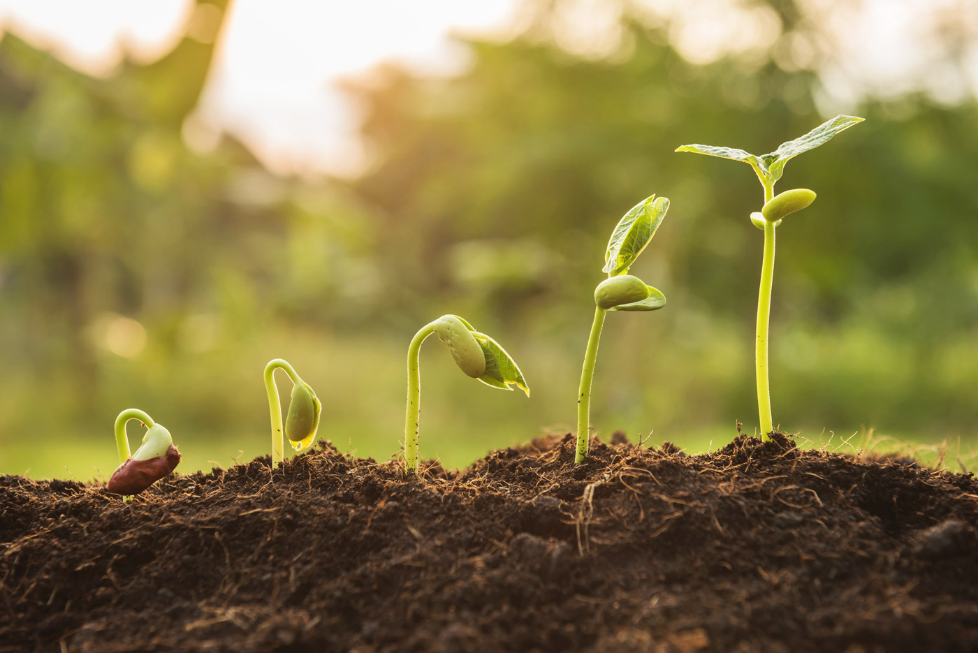 5 expert tips for growing your agency and portfolio Goodlord