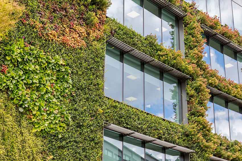 building-with-foliage-small